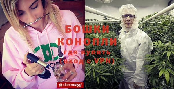 эйфоретик Дмитров