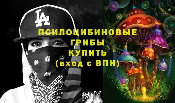 PSILOCYBIN Бронницы