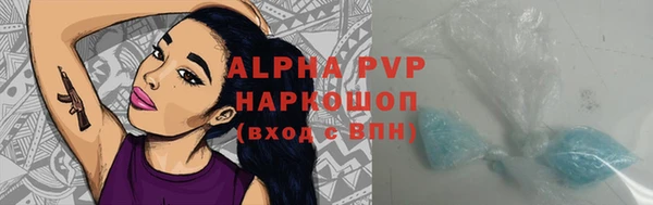 PSILOCYBIN Бронницы