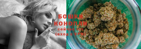 PSILOCYBIN Бронницы