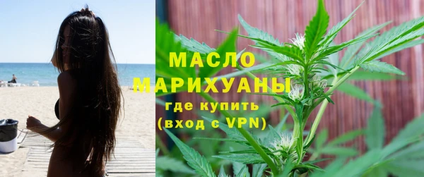 молекула духа Ельня