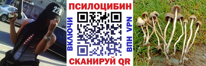 Галлюциногенные грибы прущие грибы  Донской 